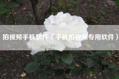 拍视频手机软件（手机拍视频专用软件）