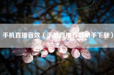 手机直播音效（手机直播音效助手下载）