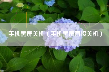 手机黑屏关机（手机黑屏直接关机）