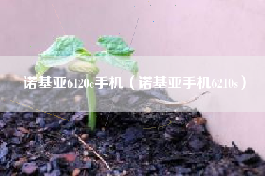诺基亚6120c手机（诺基亚手机6210s）