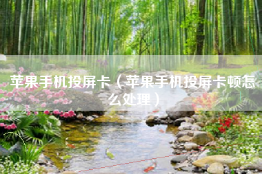 苹果手机投屏卡（苹果手机投屏卡顿怎么处理）