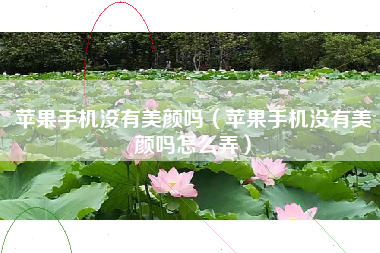 苹果手机没有美颜吗（苹果手机没有美颜吗怎么弄）