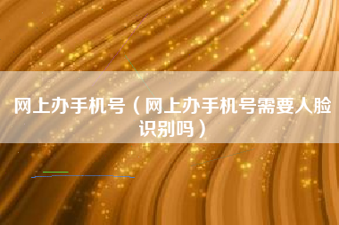 网上办手机号（网上办手机号需要人脸识别吗）