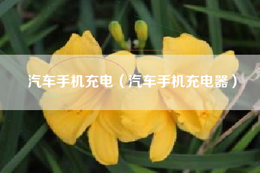 汽车手机充电（汽车手机充电器）