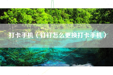 打卡手机（钉钉怎么更换打卡手机）