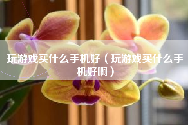 玩游戏买什么手机好（玩游戏买什么手机好啊）