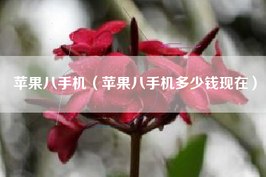 苹果八手机（苹果八手机多少钱现在）