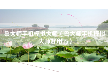 鲁大师手机模拟大师（鲁大师手机模拟大师好用吗）
