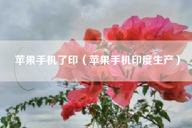 苹果手机了印（苹果手机印度生产）