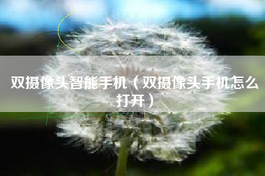 双摄像头智能手机（双摄像头手机怎么打开）