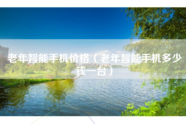 老年智能手机价格（老年智能手机多少钱一台）