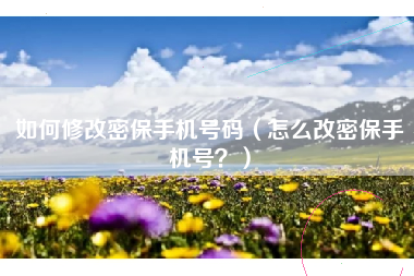 如何修改密保手机号码（怎么改密保手机号？）