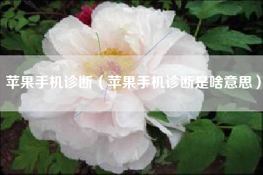 苹果手机诊断（苹果手机诊断是啥意思）