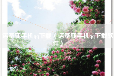 诺基亚手机qq下载（诺基亚手机qq下载软件）