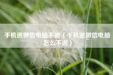 手机退微信电脑不退（手机退微信电脑怎么不退）