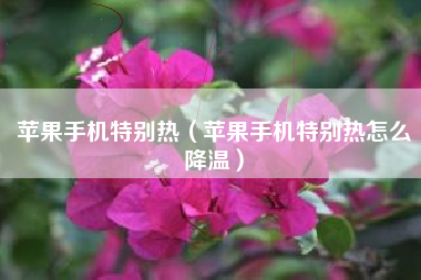 苹果手机特别热（苹果手机特别热怎么降温）