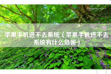 苹果手机进不去系统（苹果手机进不去系统有什么危害）