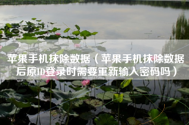 苹果手机抹除数据（苹果手机抹除数据后原ID登录时需要重新输入密码吗）
