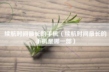 续航时间最长的手机（续航时间最长的手机是哪一部）