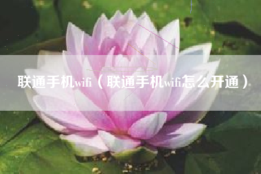 联通手机wifi（联通手机wifi怎么开通）