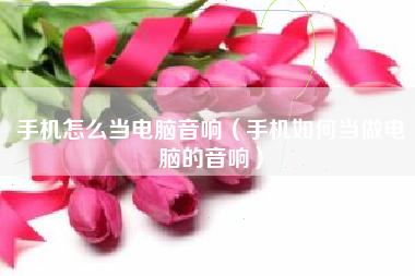 手机怎么当电脑音响（手机如何当做电脑的音响）