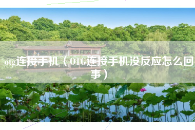 otg连接手机（OTG连接手机没反应怎么回事）