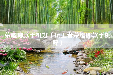 荣耀哪款手机好（玩王者荣耀哪款手机好）