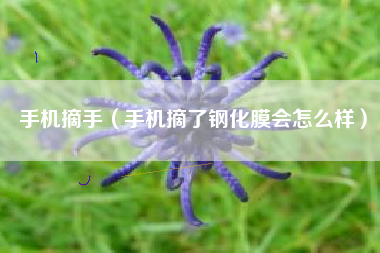 手机摘手（手机摘了钢化膜会怎么样）
