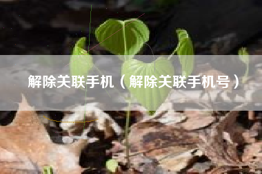 解除关联手机（解除关联手机号）