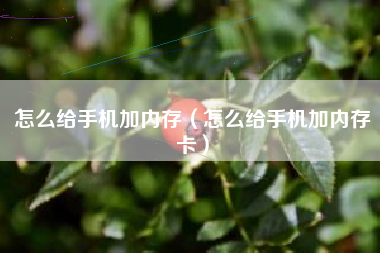 怎么给手机加内存（怎么给手机加内存卡）