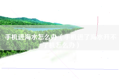 手机进海水怎么办（手机进了海水开不了机怎么办）