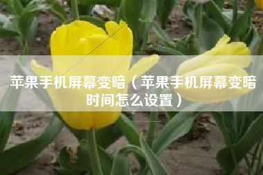 苹果手机屏幕变暗（苹果手机屏幕变暗时间怎么设置）