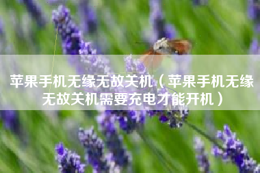 苹果手机无缘无故关机（苹果手机无缘无故关机需要充电才能开机）