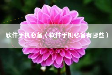 软件手机必备（软件手机必备有哪些）