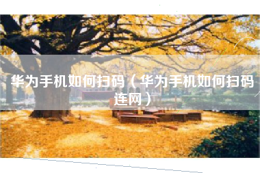 华为手机如何扫码（华为手机如何扫码连网）