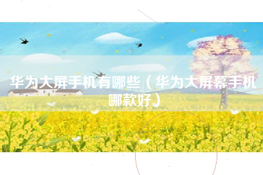 华为大屏手机有哪些（华为大屏幕手机哪款好）