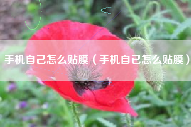 手机自己怎么贴膜（手机自已怎么贴膜）