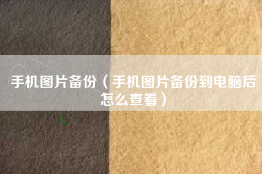 手机图片备份（手机图片备份到电脑后怎么查看）