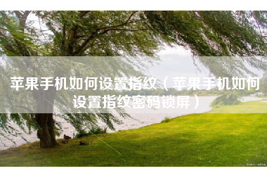 苹果手机如何设置指纹（苹果手机如何设置指纹密码锁屏）
