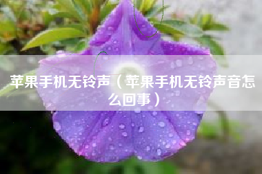 苹果手机无铃声（苹果手机无铃声音怎么回事）