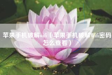 苹果手机破解wifi（苹果手机破解Wifi密码怎么查看）
