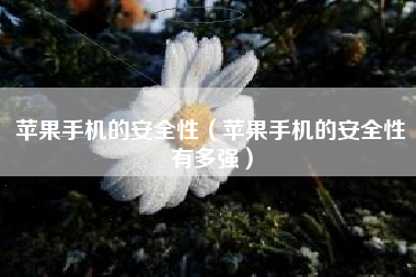 苹果手机的安全性（苹果手机的安全性有多强）
