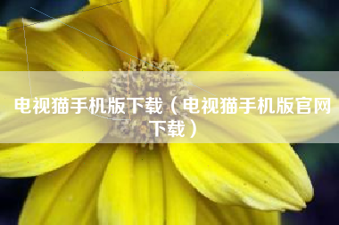 电视猫手机版下载（电视猫手机版官网下载）