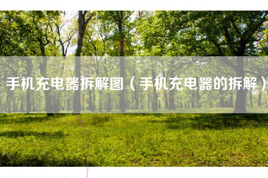 手机充电器拆解图（手机充电器的拆解）