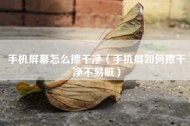 手机屏幕怎么擦干净（手机屏如何擦干净不易脏）