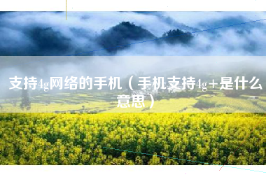 支持4g网络的手机（手机支持4g+是什么意思）