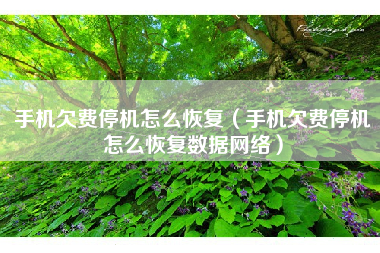 手机欠费停机怎么恢复（手机欠费停机怎么恢复数据网络）