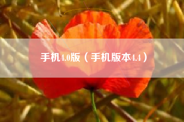 手机4.0版（手机版本4.4）