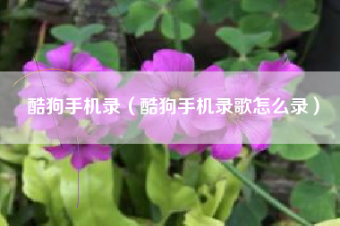 酷狗手机录（酷狗手机录歌怎么录）