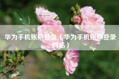 华为手机账户登录（华为手机账户登录网站）